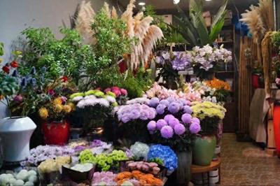 闵行这两个花卉市场,涵盖高端、平价产品,快去逛逛吧!