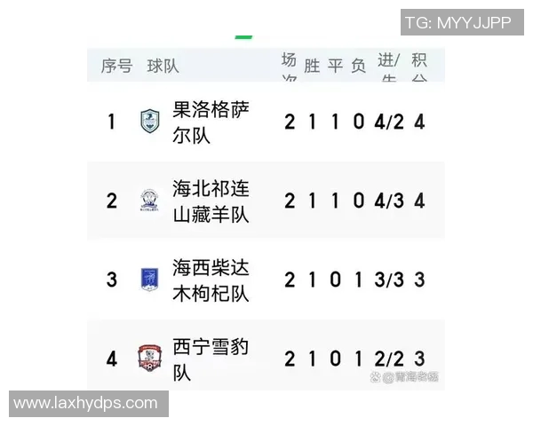 南京足球队在钻石联赛积分榜上以72分稳居第一名展现强大实力