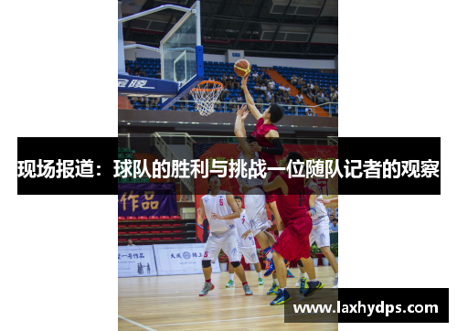 现场报道：球队的胜利与挑战一位随队记者的观察